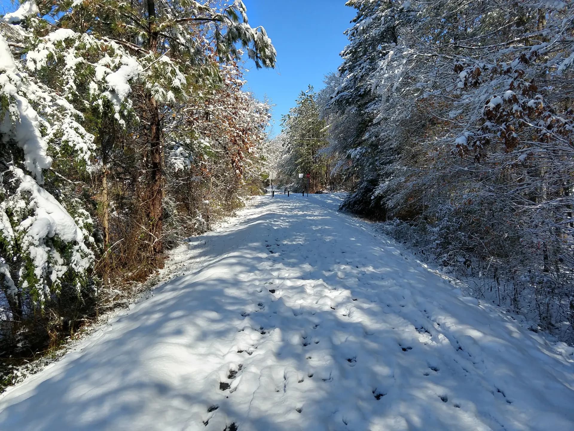 Chief Ladiga Trail