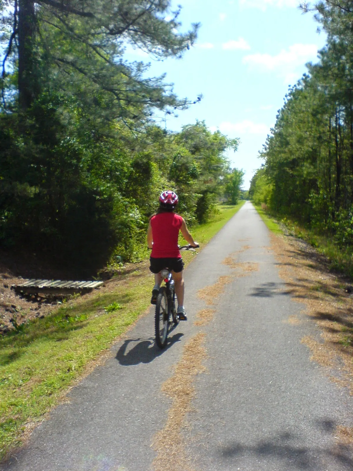 Cyclist on the trail