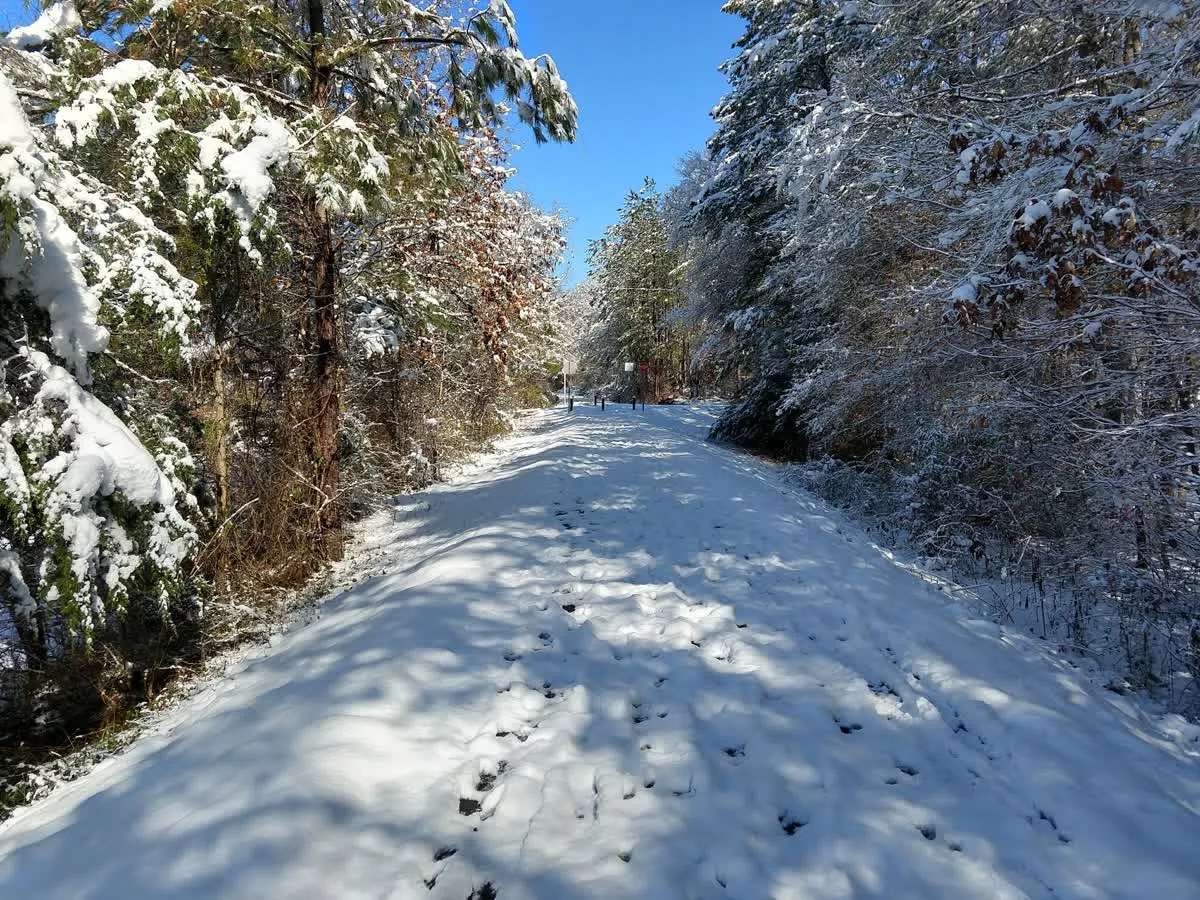 Trail in winter