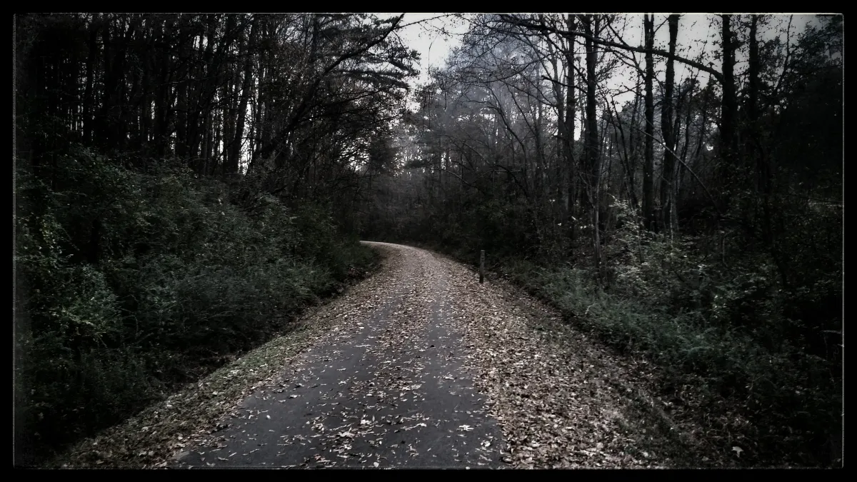 Winter trail
